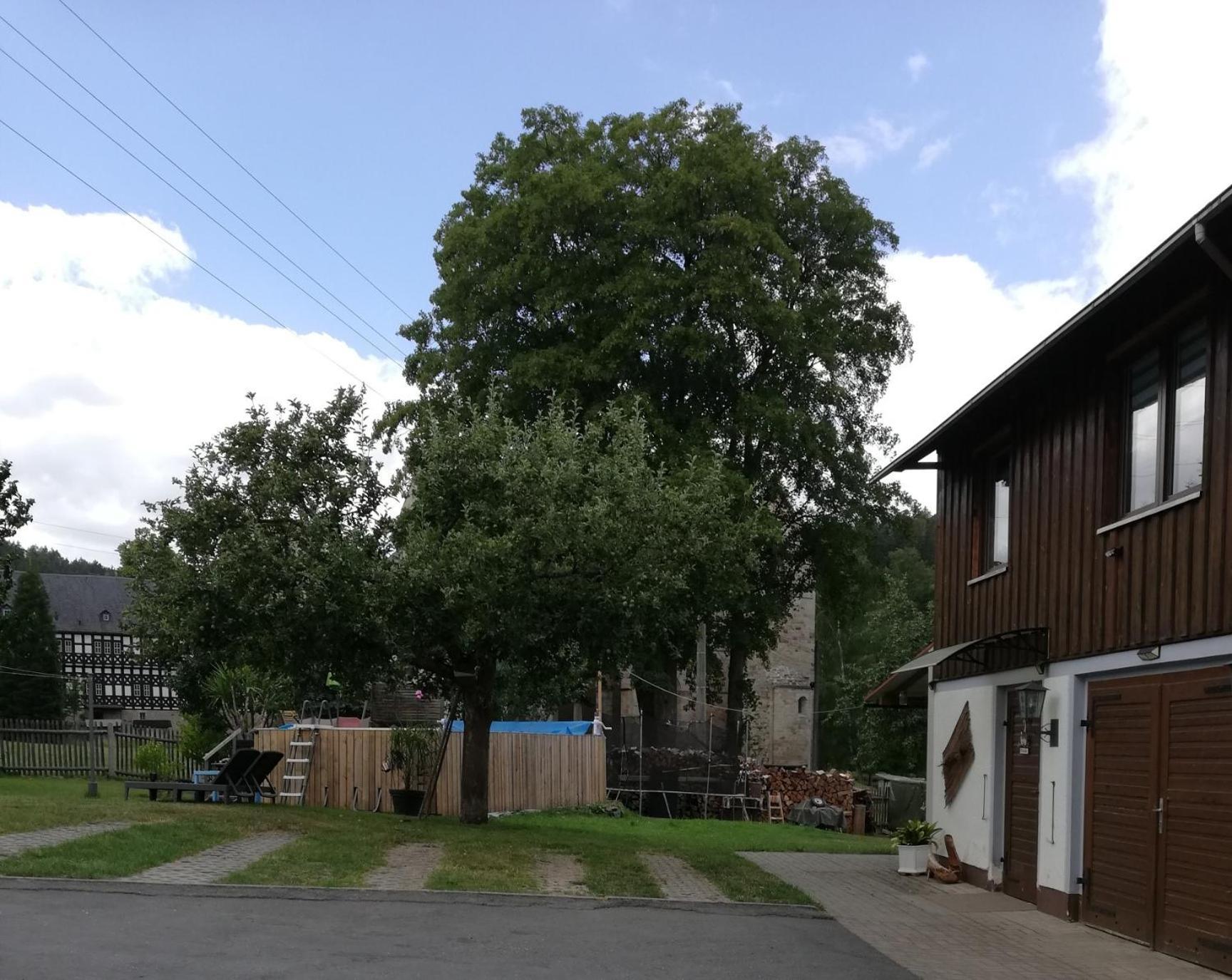 Fewo An Der Klosterruine Paulinzella Mit Kostenfreien Parkplatz Und Wlan Esterno foto
