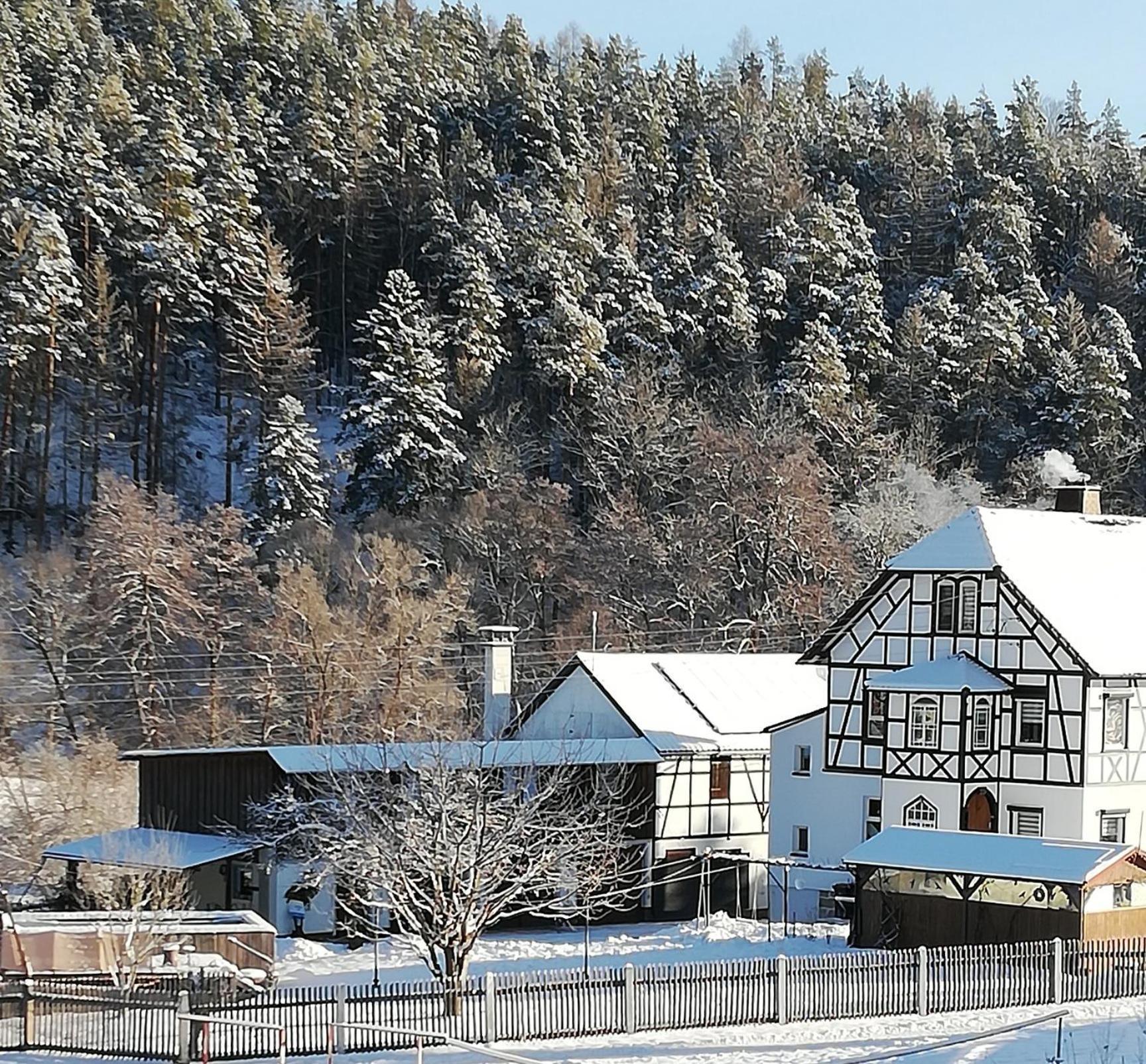 Fewo An Der Klosterruine Paulinzella Mit Kostenfreien Parkplatz Und Wlan Esterno foto